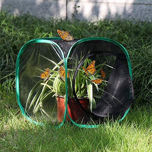 RESTCLOUD Insect and Butterfly Habitat Cage Terrarium Pop-up 12 X 12 X 12 Inches - color: Black With Green, size: 12 x 12 x 12 inches