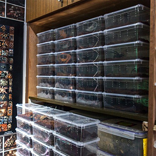 OMEM Portable Reptile Terrarium Habitat for Mini Pet Houses Breathable Holes Stackable Container (M) - size: 1PCS-Clear-M