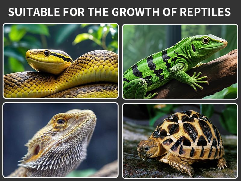 UVB Reptile Light, Dimmable UVA UVB Lamp with Timer & 3 Modes, Adjustable 5.0-20.0 Output, 6500K Daylight LED Reptile Tank Light for Bearded Dragon, Snake, Turtle, 10-40 Gallon (16 INCH) - size: 16 INCH