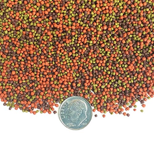 1mm Ultra Mix Floating Pellets for All Tropical Fish.... 8oz Small Jar | 1mm Blackworm, Intense Red & Green Gro Floating Pellets For Discus, Cichlids, All Tropicals, Baby Koi and Pond Fish