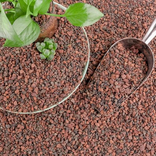CJGQ 18lb Mix Lava Rocks for Plants - Horticultural Volcanic Rock Gravel for Landscaping, Succulents, Bonsai, Vase Fillers, Terrarium Plants, Top Dressing - color: Mix Lava, size: 18lb
