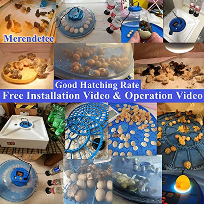 26-52 Eggs Automatic Incubator | Upgrade Automatic Water Adding, 360 Degree View, Egg Turner, Temperature Control, Egg Candler