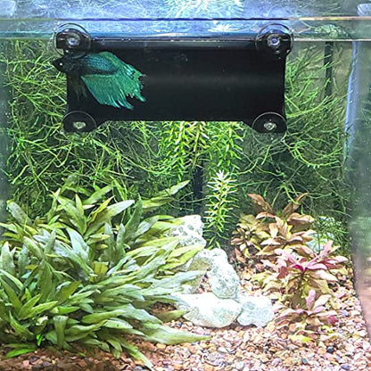 Brand Betta Tunnel (Opaque Black) - color: Opaque Black