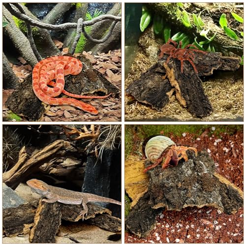 VCEPJH Cork Bark for Reptiles, 4 Pcs Natural Cork Flats for Terrarium Cork Wood Pieces for Snakes Spiders Bearded Dragons Hermit Crabs Geckos Isopod