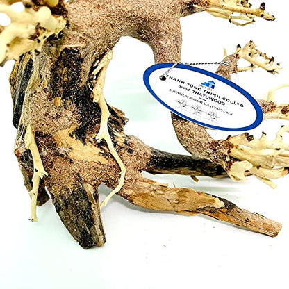 Bonsai Driftwood Aquarium Tree (8in H x 6in L), Handcrafted Fish Tank Decoration | Easy to Install Driftwood Bonsai for Fish Tank | Decor Aquascape Wood (Bonsai Tree)