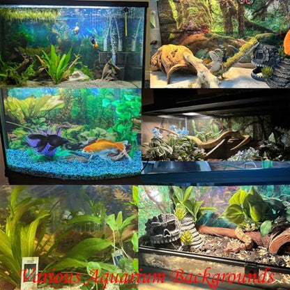 Ocean Beach Aquarium Background Calm Turquoise Ocean Seaside Fish Tank Background Tropical Seashore Beachside Cloudy Blue Sky Terrarium Backgrounds Stunning Seascape Reptile Tank Backgrounds 24x16in - color: Aqua, size: 24(W)x16(H)in