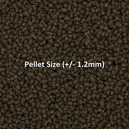 Ocean Nutrition Formula Two Pellets - Fish Food for Herbivorous & Omnivorous Marine Tropical Fish, High Protein(40%) - 7 oz (200 g) Small Pellets - size: 7 Ounce (Pack of 1), style: Small Pellet Size (+/- 1.2mm)