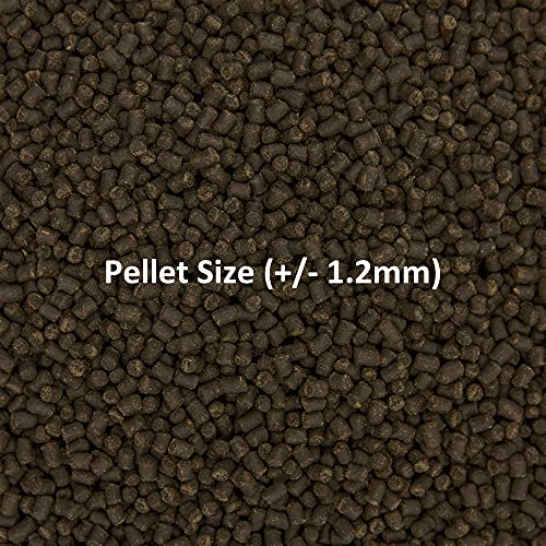 Ocean Nutrition Formula Two Pellets - Fish Food for Herbivorous & Omnivorous Marine Tropical Fish, High Protein(40%) - 3.5 oz (100 g) Small Pellets - size: 3.5 Ounce (Pack of 1), style: Small Pellet Size (+/- 1.2mm)