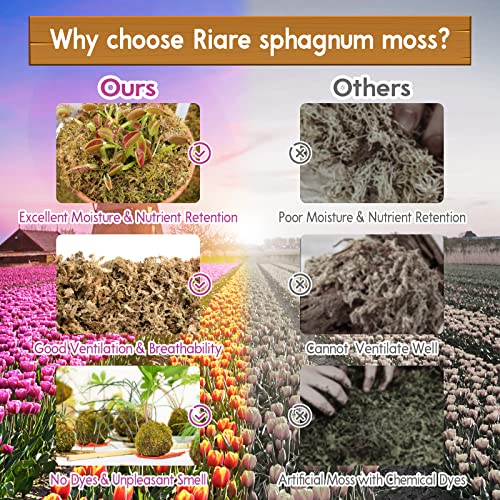 Riare 1.1LB Premium Sphagnum Moss for Plants- Natural Long Fiber Plant Moss | 20QT High Expansion, Moisture Retention, Drainage, Dried Orchid Moss for Succulent, Carnivorous, Ferns, Reptiles & Terrariums - size: 20QT/1.1lbs