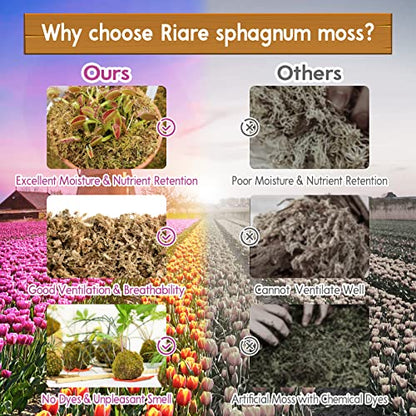 Riare 1.1LB Premium Sphagnum Moss for Plants- Natural Long Fiber Plant Moss | 20QT High Expansion, Moisture Retention, Drainage, Dried Orchid Moss for Succulent, Carnivorous, Ferns, Reptiles & Terrariums - size: 20QT/1.1lbs
