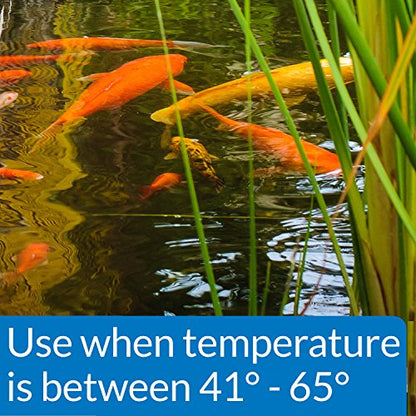 API POND COOL WATER FOOD Pond Fish Food 1.40-Pound Bag