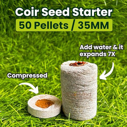 Organic Coco Coir Seed Starter Pellets NPK Enriched 50 Pcs, 35mm Perfect to Grow Herbs, Vegetables, Flowers,Fruits Seedlings, Compressed Coconut Coir Soil Plugs - Easy to Transplant in Pot - size: 50 Pack - NPK Enriched Seed Starter Pellets