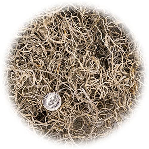 Premium Natural Spanish Moss | Natural Preserved - Great Ground Cover - Filler for Potted Plants - 2 Quart Bag (GRD-SPANISH-MOSS-2QT) - color: SPANISH MOSS, size: 2 Quart