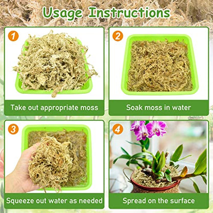 Riare 10OZ Premium Sphagnum Moss for Plants- Natural Long Fiber Plant Moss | 12QT High Expansion, Moisture Retention, Drainage, Dried Orchid Moss for Succulent, Carnivorous, Ferns, Reptiles & Terrariums - size: 12QT/10oz