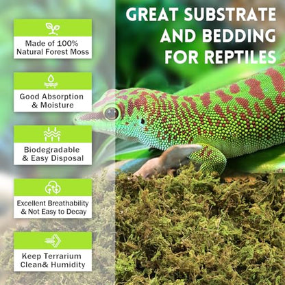 Riare 1.3lb Natural Sphagnum Moss for Reptiles, Terrarium Substrate Bedding | 50QT High Expansion, Moisture Retention, Helps Shedding, Long Fibered Dried Moss for Leopard Gecko, Snake, Frog, Turtle - color: 21 OZ