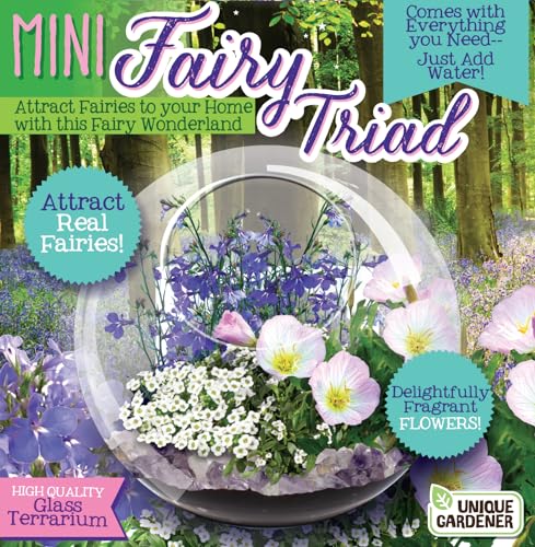 Enchant Your Space with Mini Fairy Triad Glass Terrarium Starter Kit by Unique Gardener! Grow Fragrant Flowers & Attract Fairy Plant, Complete Terrarium Supplies Included for a Mini Indoor Garden! - style: Fairy Triad