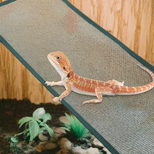 DQITJ 2 Pcs Reptile Hammock Chameleon with Suction Cup Snake Accessories Geckos Swing Climbing Net (Black and Green)