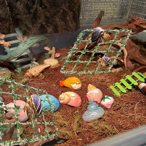 Hermit Crab Climbing Toys Set，Hermit Crab Habitat Tank Accessories,Also for Small Lizard Chameleon Leopard Gecko Reptile