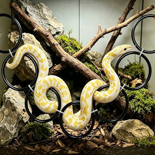 Snake Climbing Rings Flexible Climbing Chain for Ball Python & Corn Snake Tank Accessories