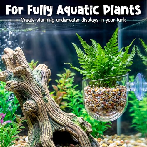 Gjinxi Aquarium Plant Holder 2 Pcs, Fish Tank Plant Pot Aquatic Plant Cup | Clear, Acrylic, Red Worm Fish Shrimp Feeder, Aquarium Planter Cup, with Suction Cup, for Home Fish Tank, Aquascape Decor