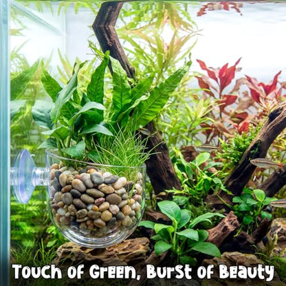 Gjinxi Aquarium Plant Holder 2 Pcs, Fish Tank Plant Pot Aquatic Plant Cup | Clear, Acrylic, Red Worm Fish Shrimp Feeder, Aquarium Planter Cup, with Suction Cup, for Home Fish Tank, Aquascape Decor
