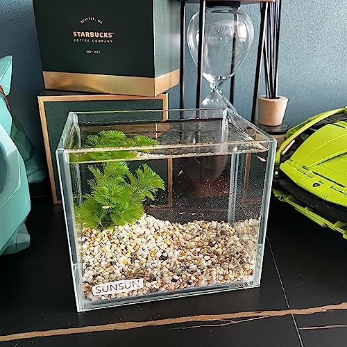 AWXZOM Small Nano Tall Rimless Tank, Glass Fish Tank, Betta Tank (0.7 Gallon, 5.9x4.3x5.1in/15x11x13cm) - size: 0.7 Gallon 5.9x 4.3x5.1inch/15*11*13cm