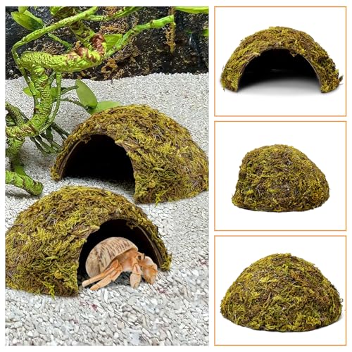 PINVNBY 4 Pack Natural Green Moss Hide Caves Coconut Reptile Hideouts Hamster Climbing Toys Gecko Habitat Decor Lizard Shell Shelter for Snake Tarantulas Turtle Chameleon - size: 4 PCS Moss Surface