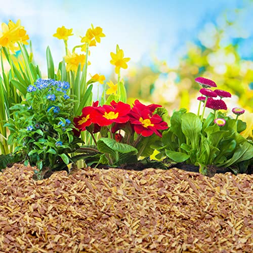 100% Natural Cedar Chips | Mulch | Great for Outdoors or Indoor Potted Plants | Dog Bedding | Pleasant Earthy Smell 4 Quarts - size: 4 Quarts