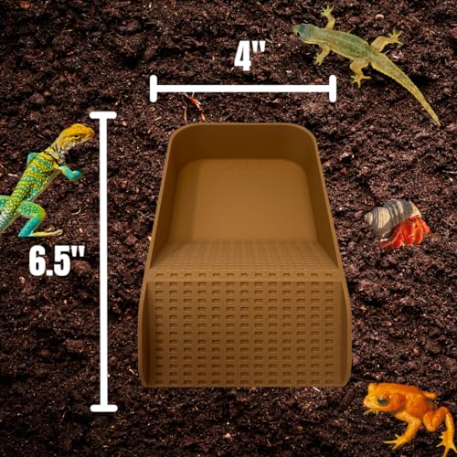 Hermit Crab Watering Pool | Platform Pool Accessory with Access Ramp for Hermit Crabs | 6.5" x 4" | Made in USA (Salt Only, Tan) - color: Salt Only, Tan