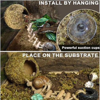 Hermit Crab Moss Coconut Shell Hideout with Climb Ladder,Leopard Gecko Hide Hut with Moss and Sea Shells,Hermit Crab Climbing Tank Accessories for Crested Gecko,Reptiles