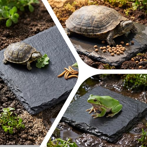 Yuanchu Reptile Basking Platform, Slate Tortoise Rock Plate, Natural Rock Reptile Food Dish Bowl, Habitat Decor for Turtle Bearded Dragon Lizard Gecko Snake