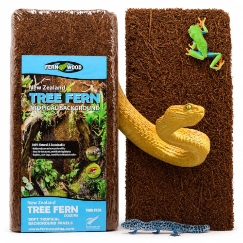 Fernwood - Vivarium and Terrarium Background Panels - 2 Pack - 12x6x0.06 | Backdrop For Reptile, Amphibian, and Botanical Tanks - Made from New Zealand Tree Fern - Natural and Fibrous - size: Regular 12x6x.06