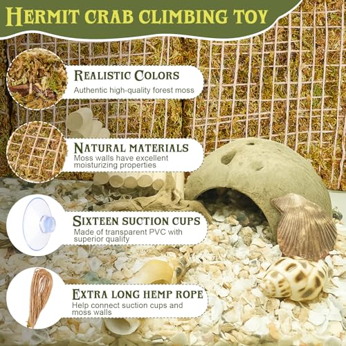 Ripeng 4 Pcs 6 Inch Hermit Crab Climbing Wall Adjustable Reptile Decor with 16 Suction Cups Hook and 1 Hemp Rope for 10 Gallon Tank Hermit Crab Supplies Fish Tank Decorations Climbing Toy
