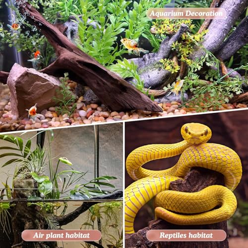 3-Piece 7-11 Inches Natural Aquarium Driftwood Decorations - Aquascape Decor for Fish Tanks, Betta Hideouts, Reptile Enclosures & Plant Attachment - size: Mopani Driftwood 7-11" (Pack of 3)