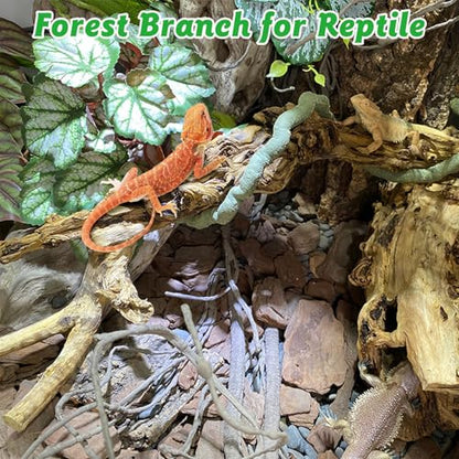 Reptile Branch Decor 2 Pcs Snake Climbing Wood Branches Lizard Habitat Decorations Terrarium Natural Forest Tree Trunk Ornament for Bearded Dragon Geckos Chameleon Frog
