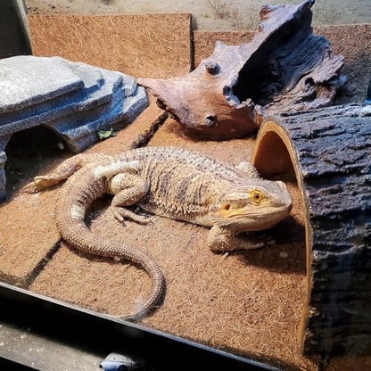 PINVNBY 2 Pcs Reptile Carpet Coconut Fiber Mat,Lizard Terrarium Substrate Liner Gecko Tank Flooring Bearded Dragon Tank Accessories Bedding for Snakes Chameleons Tortoises