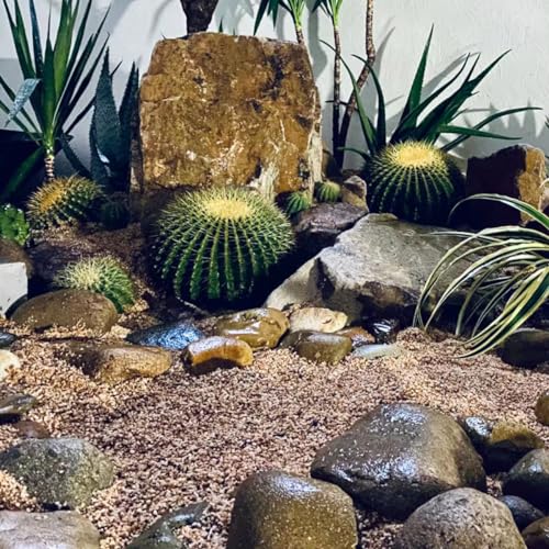 5lbs Aquarium Gravel, 1/8"(2-4mm) Natural River Rocks | Succulent Cactus Pea Gravel for Plants, Fish Tank, Decorative Pebbles for Gardening, Flower Pots, Vase Fillers, Landscaping - size: 1/8 Inch