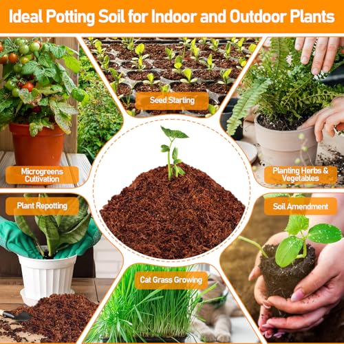 50 Pcs 30mm Coco Coir Pellets Seed Starter Soil Mix- Organic Coconut Coir Potting Soil Pods for Seedling, Coco Peat Soil Discs for Indoor & Outdoor Plants Bonsai Herbs Vegetables and Flowers - size: 30mm