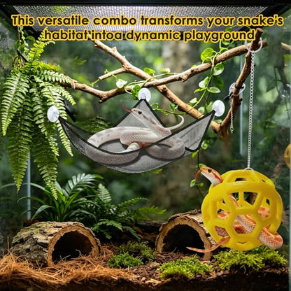 Snake Reptile Enrichment Ball & Hammock Combo, Durable Climbing Gym with Secure Chain - Fun Exercise & Resting Toy for Small Pet Snakes Including Pythons & Iguanas, Anoles, Geckos, Snakes, Chameleon