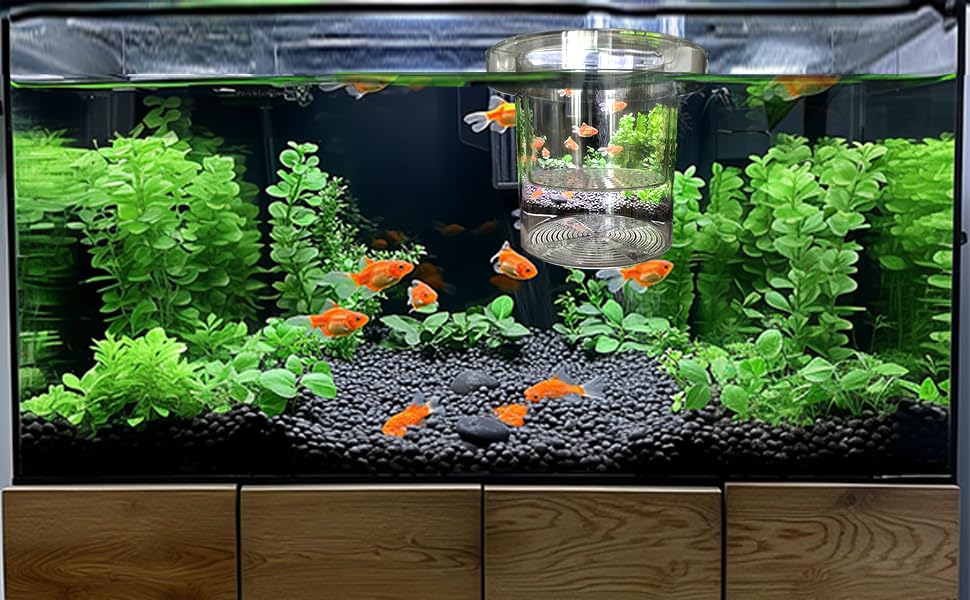 WEAVERBIRD Aquarium Breeder Box, Fish Breeding Box, Acrylic Breeder Isolation Divider Hatching Boxes, Floating Incubation Box, Round Isolation Hatchery Feeding Boxes for Small Fish Fry Hatchery - size: Round