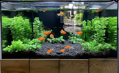 WEAVERBIRD Aquarium Breeder Box, Fish Breeding Box, Acrylic Breeder Isolation Divider Hatching Boxes, Floating Incubation Box, Round Isolation Hatchery Feeding Boxes for Small Fish Fry Hatchery - size: Round