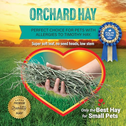 Small Pet Select Orchard Grass Hay for Rabbits & Guinea Pigs, 40 lb | Premium Natural Grass Hay, Grown in USA, Soft High Fiber Forage, For Chinchillas, Bunnies, Hamsters & Small Pets - size: 40 Pound (Pack of 1)