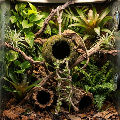 Reptile Hide with Hanging Climbing Ladder – Handmade Crested Gecko Tank Accessories, Hide for Crested Gecko, Hermit Crab, and Small Reptiles