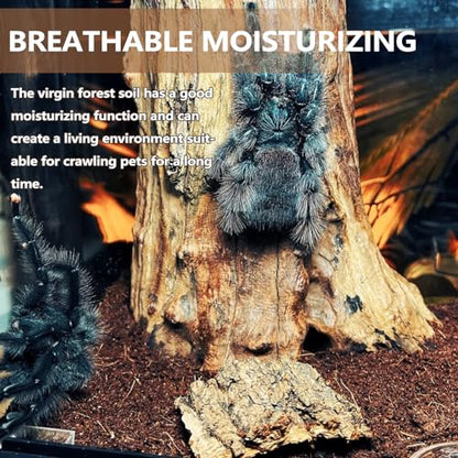 BNOSDM Reptile Soil Substrate,Natural Terrarium Bedding,Snake Bedding,Fluffy Reptile Tank Substrate for Tortoise Hermit Crab Tarantulas Lizards - color: 0.79gal