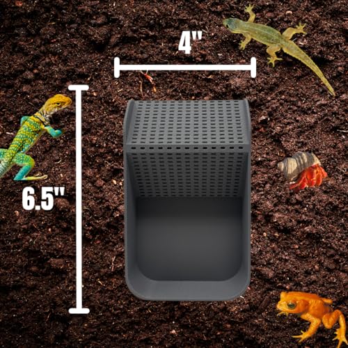 Hermit Crab Watering Pool | Platform Pool Accessory with Access Ramp for Hermit Crabs | 6.5" x 4" | Made in USA (Fresh Only, Gray) - color: Fresh Only, Gray