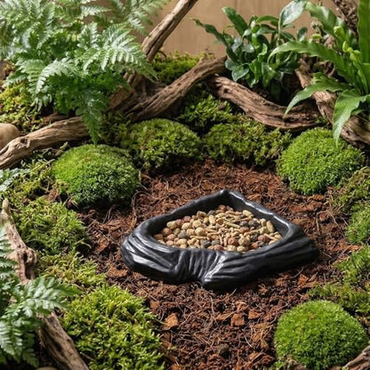 3 Pack Reptile Food Bowl Water Dish Fan Shape Feeding Basin for Gecko Bearded Dragons Snake Small Reptile