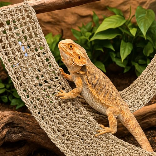 2 Pcs Bearded Dragon Hammock Reptile Lounger, Natural Seagrass Climbing Habitat Decor with Jungle Theme for Lizards, Geckos, Snakes, Iguanas, Amphibians and Terrarium