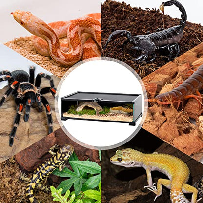 REPTIZOO Small Reptile Tank 20" x 12" x 6" Glass Reptile Terrarium with Top Feeding Habitat for Snake Spider - size: 20" x 12" x 6"