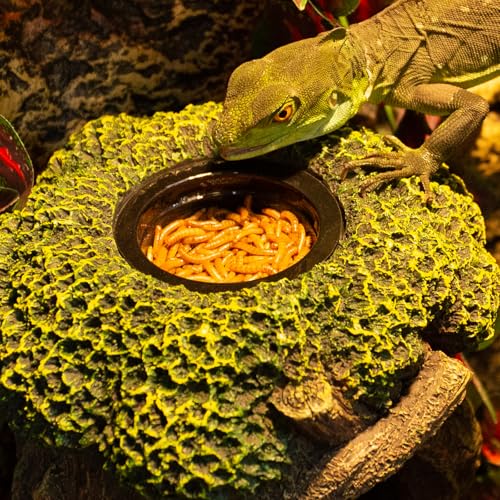 Reptile Water Fountain, Reptile Terrarium Waterfall Drinking Fountain with Food Dish for Bearded Dragon Lizard Leopard Crested Gecko Chameleon Frog
