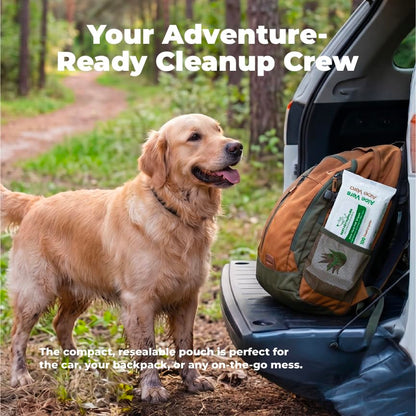 Best Pet Supplies Cleaning Dog Wipes - Hydrating Aloe, 100 Count | Unscented, Large 8x9" Pet Wipes, Vitamin E, Puppy & Cat Safe, Gentle Grooming, Resealable Pouch Prevents Drying - color: Hydrating Aloe Vera, size: 100 Count